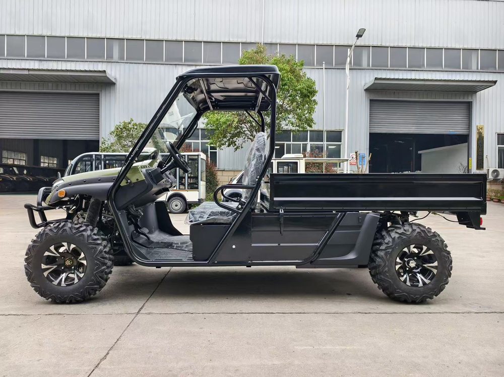 2-Seater 4WD Electric Utility Vehicle (UTV)
