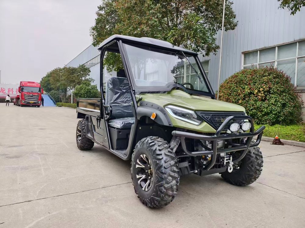 2-Seater 4WD Electric Utility Vehicle (UTV)