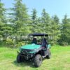 LS-U2T-2WD g1 2-Seater 2WD Electric Utility Vehicle (UTV)