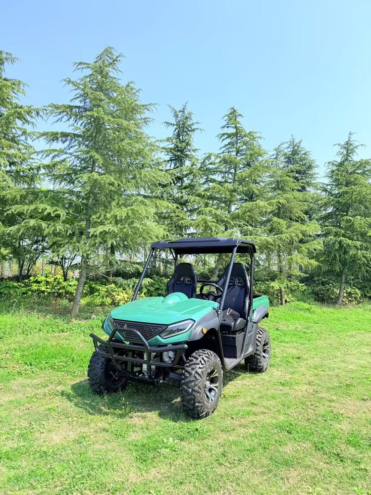LS-U2T-2WD g1 2-Seater 2WD Electric Utility Vehicle (UTV)