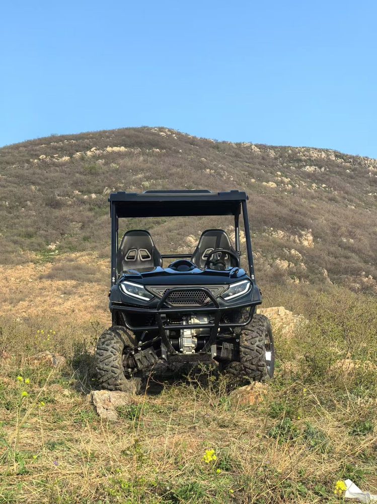 LS-U2T-2WD g2 2-Seater 2WD Electric Utility Vehicle (UTV)