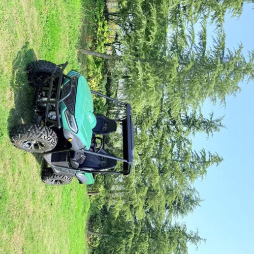 LS-U2T-2WD main 2-Seater 2WD Electric Utility Vehicle (UTV)