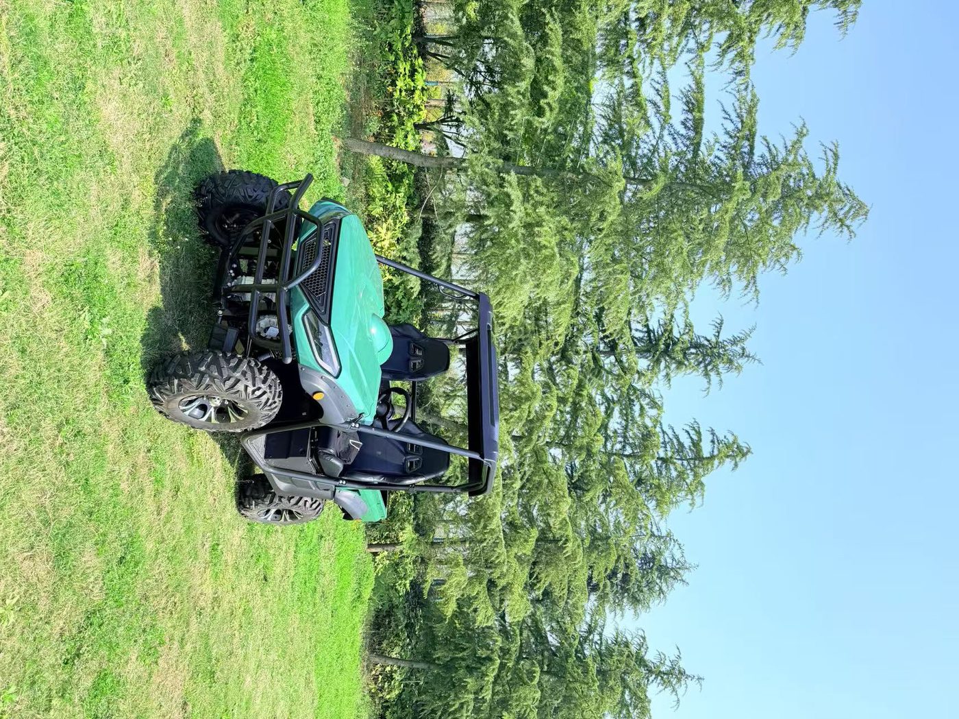 LS-U2T-4WD main 2-Seater 4WD Electric Utility Vehicle (UTV)