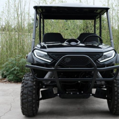 LS-U4T-2WD main 4-Seater 2WD Electric Utility Vehicle (UTV)