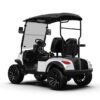 2-Seater Electric Golf Cart (Lifted)