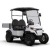 Utility Electric Golf Cart (Lifted)