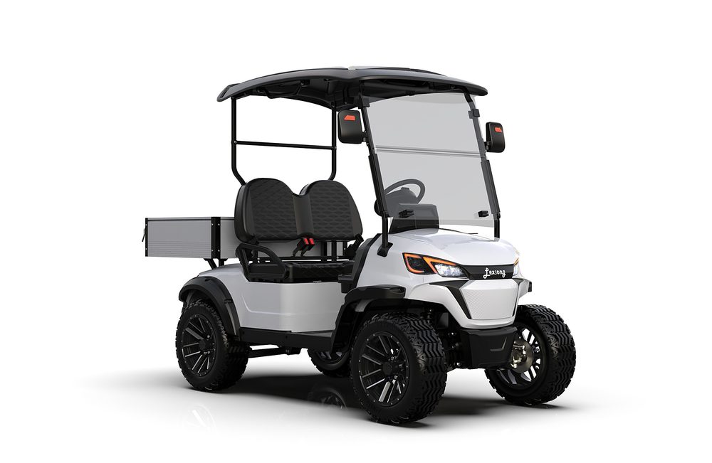 Utility Electric Golf Cart (Lifted)