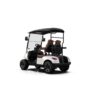 LS2023K g2 2-Seater Electric Golf Cart