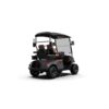 LS2023K g4 2-Seater Electric Golf Cart