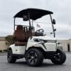 LS2023K main 2-Seater Electric Golf Cart