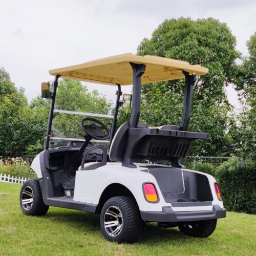 LS202AK main 2-Seater Electric Golf Cart