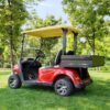 2-Seater Utility Electric Golf Cart