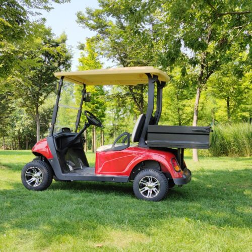 2-Seater Utility Electric Golf Cart