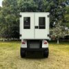 Utility Electric Golf Cart (Lifted)
