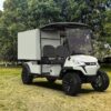Utility Electric Golf Cart (Lifted)