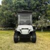 Utility Electric Golf Cart (Lifted)