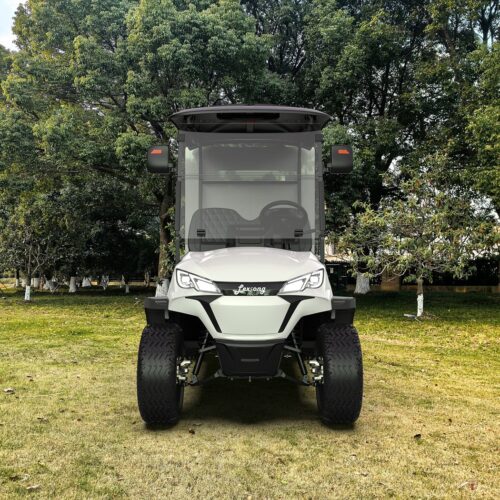 Utility Electric Golf Cart (Lifted)