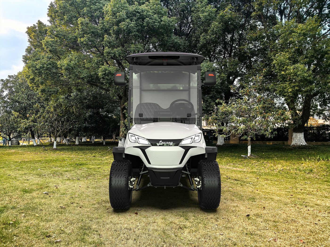 Utility Electric Golf Cart (Lifted)