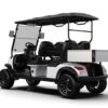 Utility Electric Golf Cart (Lifted)