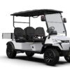 Utility Electric Golf Cart (Lifted)