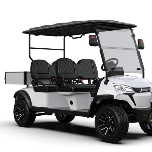 Utility Electric Golf Cart (Lifted)