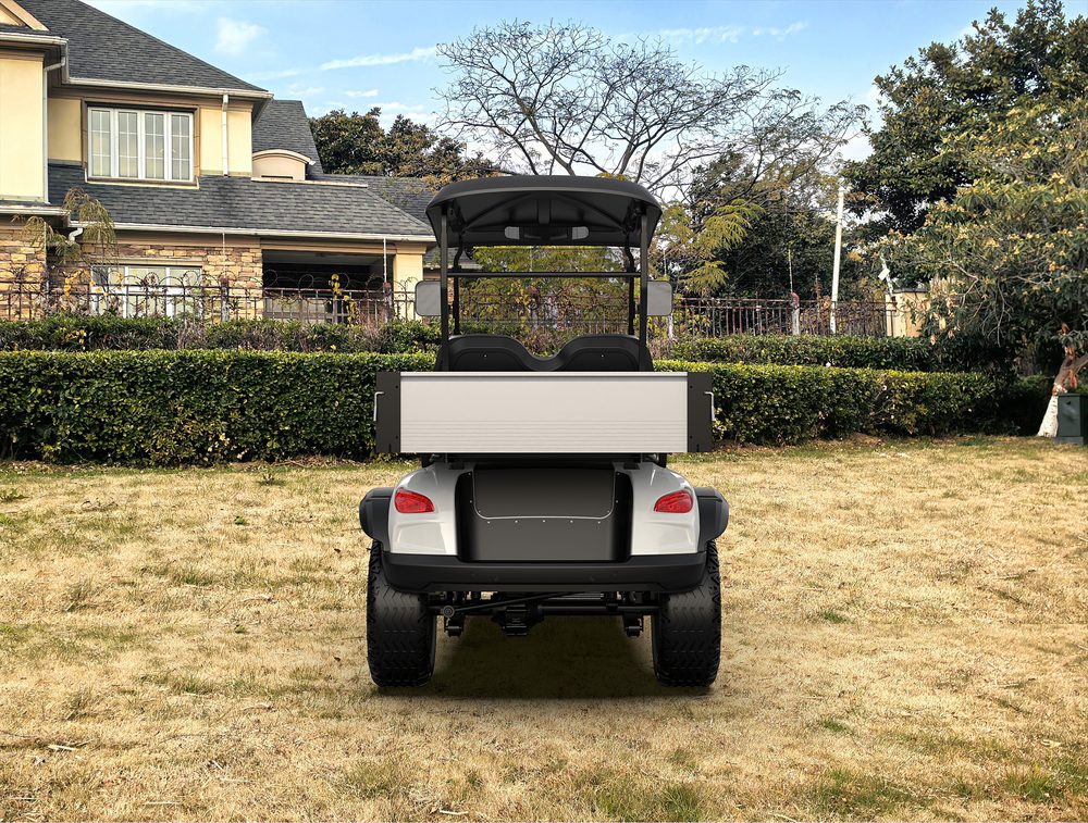 Utility Electric Golf Cart (Lifted)