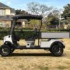 Utility Electric Golf Cart (Lifted)