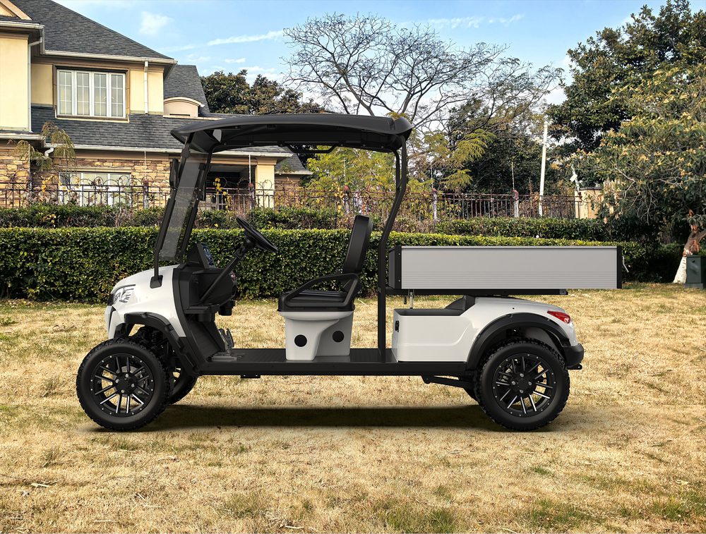 Utility Electric Golf Cart (Lifted)