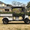 Utility Electric Golf Cart (Lifted)