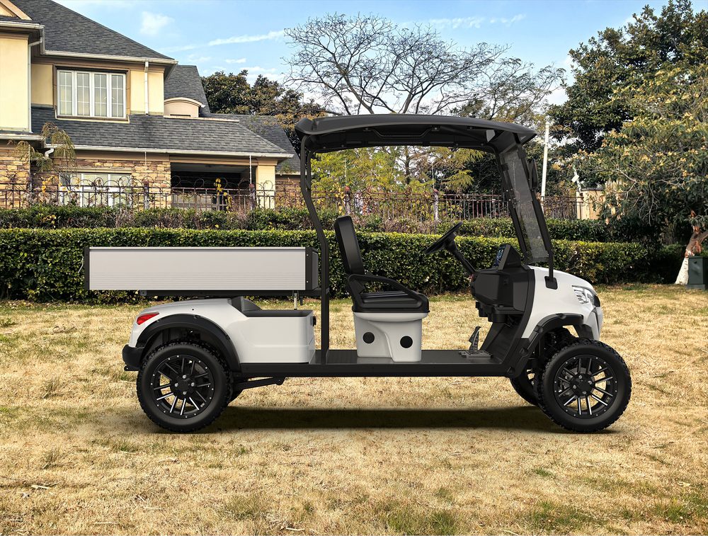 Utility Electric Golf Cart (Lifted)