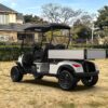 Utility Electric Golf Cart (Lifted)