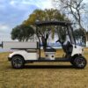Utility Electric Golf Cart