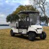 Utility Electric Golf Cart