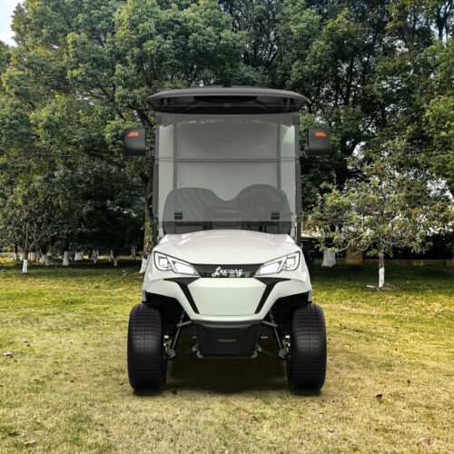 Utility Electric Golf Cart