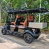 4WD Utility Electric Golf Cart (Lifted)