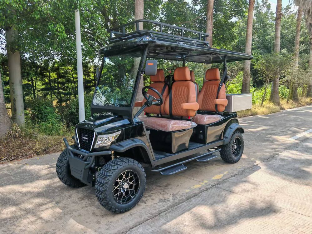 4WD Utility Electric Golf Cart (Lifted)
