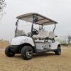 4-Seater Electric Golf Cart