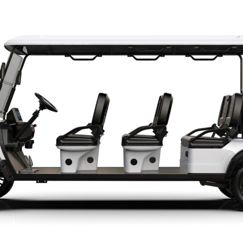 6-Seater Electric Golf Cart (Lifted)