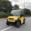 2-Seater Electric Mini Car