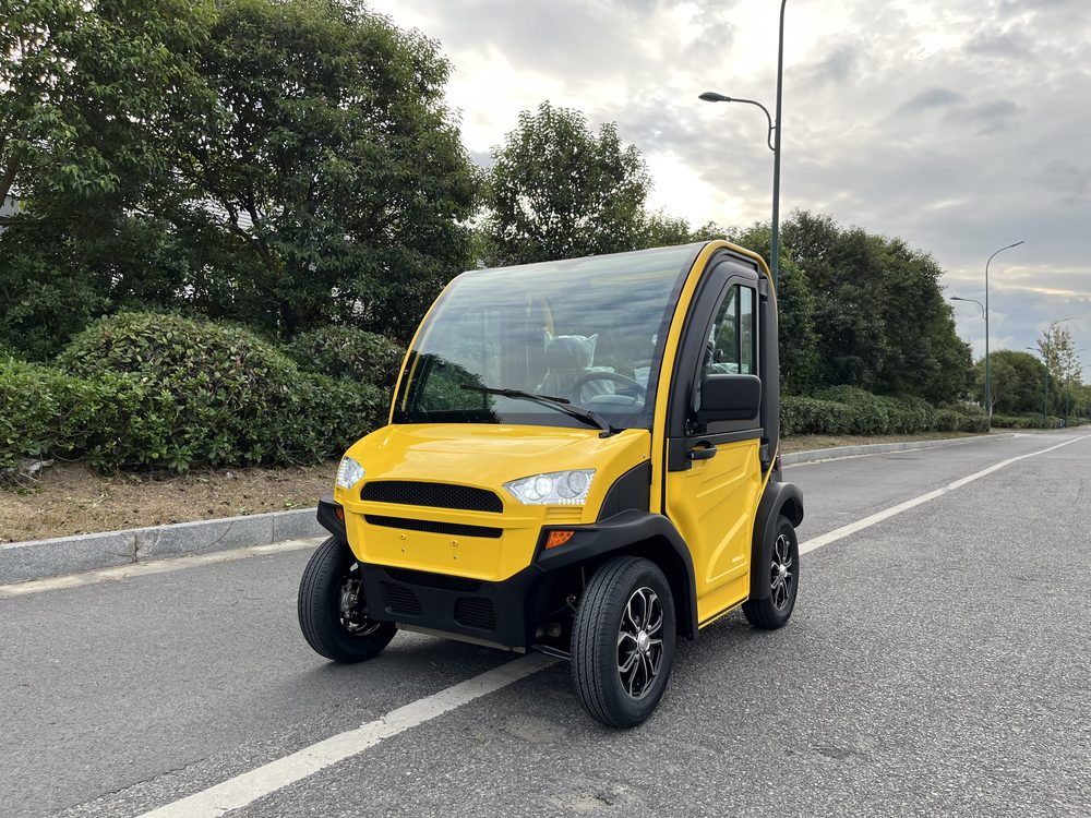 2-Seater Electric Mini Car