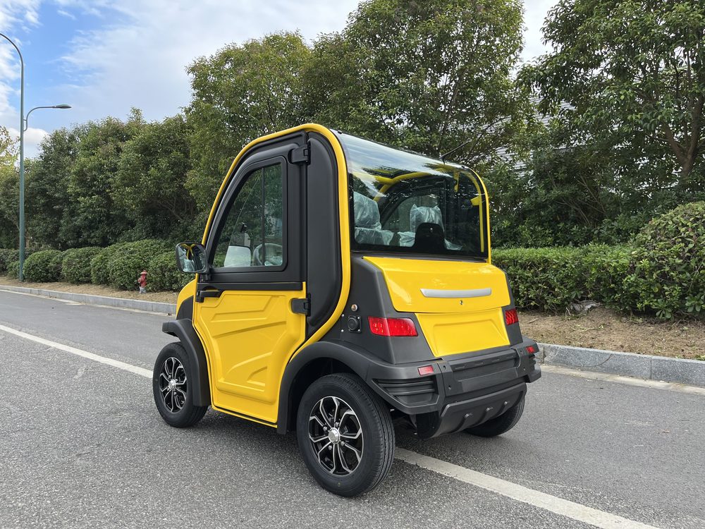 2-Seater Electric Mini Car