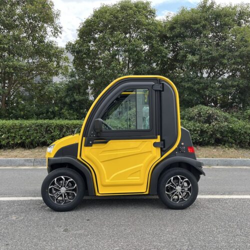 2-Seater Electric Mini Car