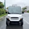 Electric Refrigerated Cargo Vehicle