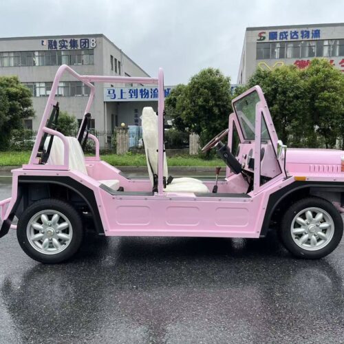 4-Seater Electric Mini Car