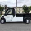 LS6060HF2-g1.jpg Electric Pickup Truck