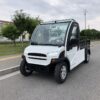 LS6060HF2-g4.jpg Electric Pickup Truck