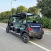 6-Seater Electric Mini Car