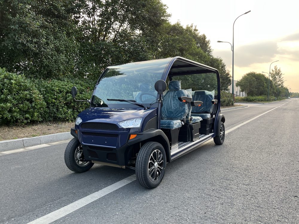 6-Seater Electric Mini Car