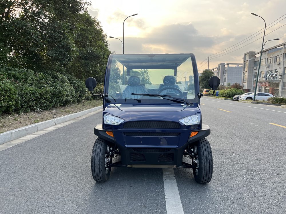 6-Seater Electric Mini Car