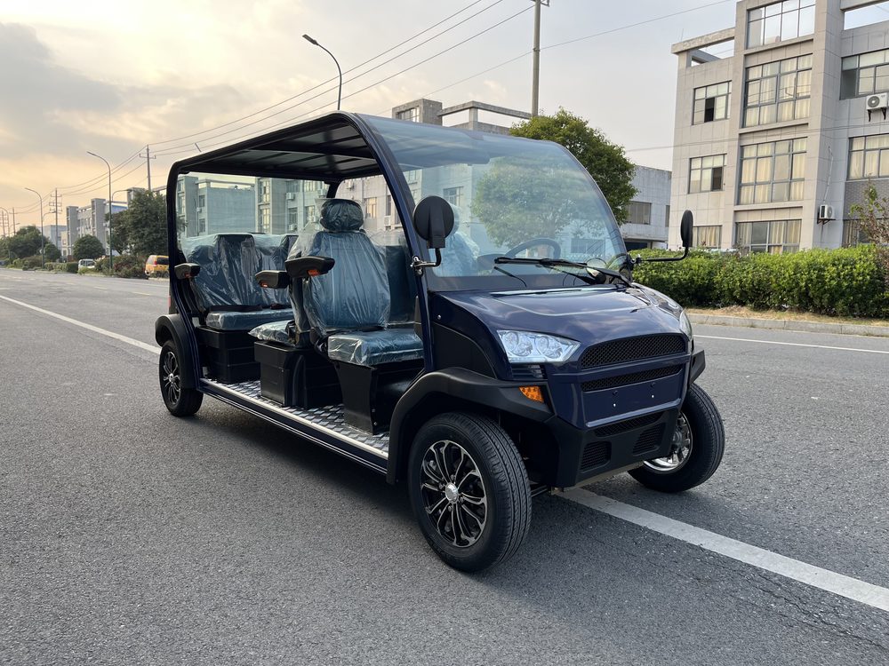 6-Seater Electric Mini Car